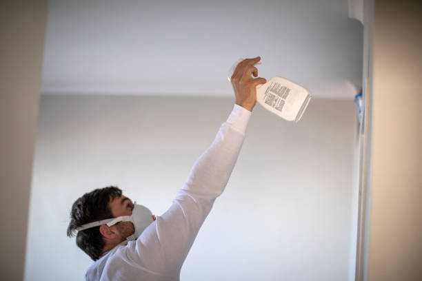 Best Mold Remediation  in Minnehaha, WA