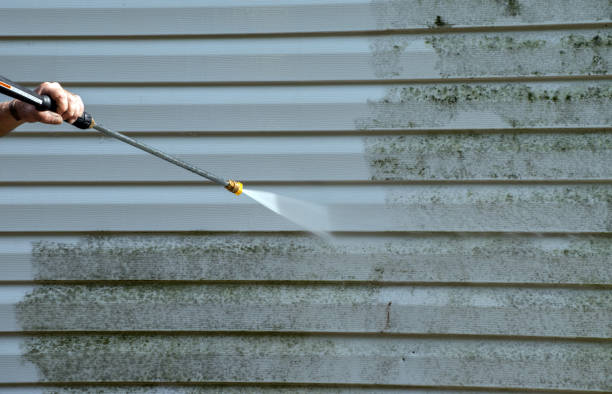 Best Residential Mold Removal  in Minnehaha, WA