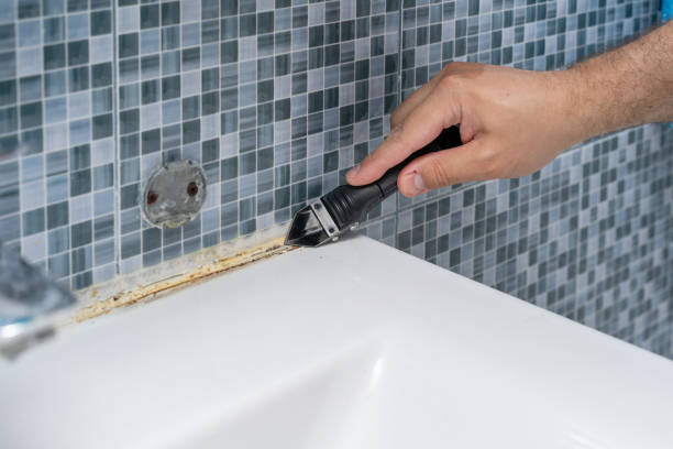 Best Mold Testing  in Minnehaha, WA